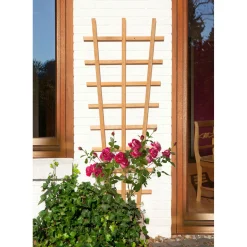 Rankgitter V Aspe braun 44/63x150 cm