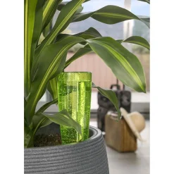 Bewaesserungsglas Copa grün 9 x 18 cm*Scheurich Clearance