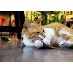 Schmusekissen Classic mit Baldiran versch Farben