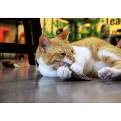 Schmusekissen Classic mit Katzenminze versch Farben^ Clearance