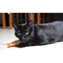 Schmusekissen Classic mit Katzenminze versch Farben^ Clearance