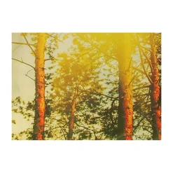 Schneider Schirme Sonnenschirm Malaga Durchmesser 300 cm Forest