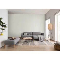 Wandfarbe Glimmerfarbe silvershine grey 2,5 Liter*Schöner Wohnen Farbe Outlet