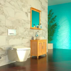 Schütte Dusch WC-Aufsatz mit Absenkautomatik und Schnellverschluss