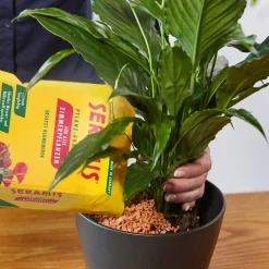 Pflanzgranulat für Zimmerpflanzen 7,5 L^Seramis New