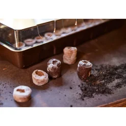 Siena Garden Anzuchtgewächshaus inkl. 36 Tabs 53 x 15,1 x 4,9 cm