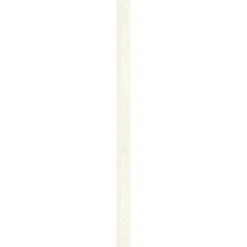 Ambiente Paneel 10mm Pinie weiß^Specht Hot