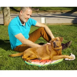 Kühlmatte Pet Cooling Mat für Hunde*Starlyf