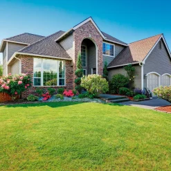 Starlyf Matte mit Grassamen Grass Seed Mat 10m x 0,45m