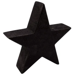 Stern schwarz Glitzer* Best