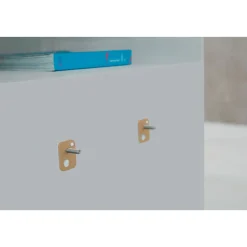 Klebenagel für Tapete und Putz 2 Stück Traglast 2 x 2 kg*Tesa New