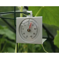 Thermometer* New