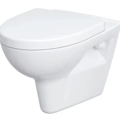 Tiefspül-Wand-WC Montego spülrandlos*