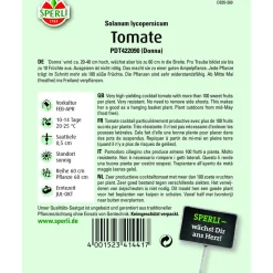 Tomate Donna Topftomate 20-40 cm