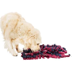 Dog Activity Schnüffelteppich 50 x 34 cm^Trixie Hot
