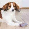 Dog Anti-Rutsch-Hundesocken grau 2St S-M^Trixie Best