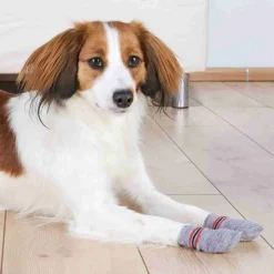 Dog Anti-Rutsch-Hundesocken grau 2St S-M^Trixie Best