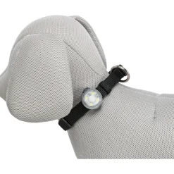 Trixie Flasher USB 3 x 8 cm spritzwassergeschützt