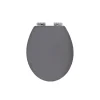 Valblue WC-Sitz Grau mit Absenkautomatik