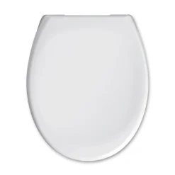 Valblue WC-Sitz Pebble Duroplast