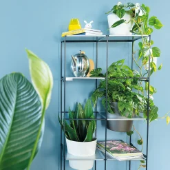 Vertikales Pflanzenregal Filo 2 x 4* Hot