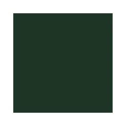 2in1 Buntlack Moosgrün glänzend 375 ml^Vincent New