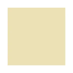 2in1 Buntlack Spray Hellelfenbein glänzend 400 ml^Vincent Online