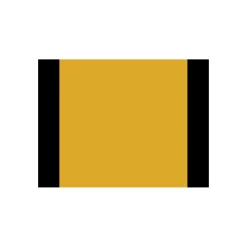 Voll- und Abtönfarbe goldgelb 0,5 L^Vincent Discount