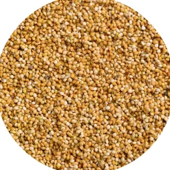 Honig-Perlen 20g Sittich Beutel*Vitakraft New