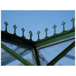 Firstkrone grün für Sirius*Vitavia Discount