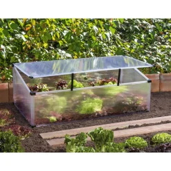 Vitavia Frühbeet Feronia transparent