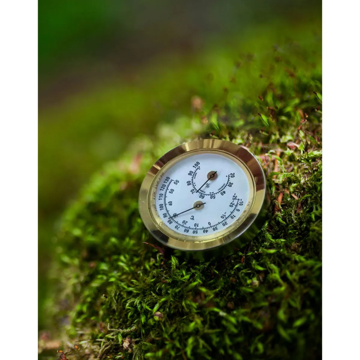 Vitavia Hygrometer Blister