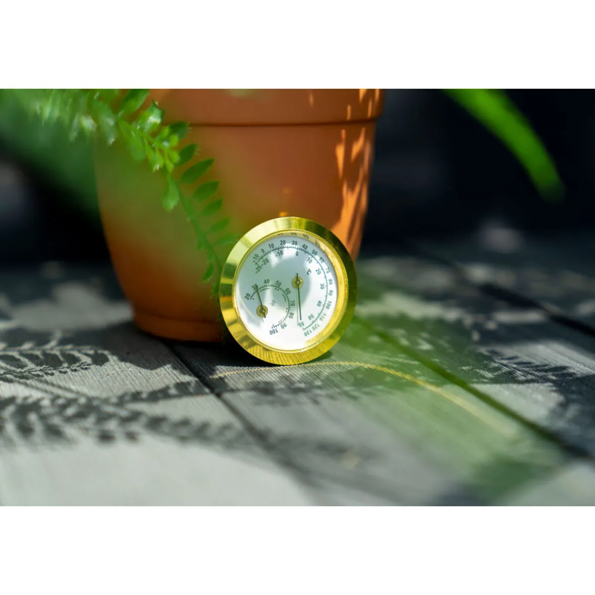 Vitavia Hygrometer Blister