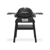 Gasgrill mit Stand Q1200N^Weber Sale