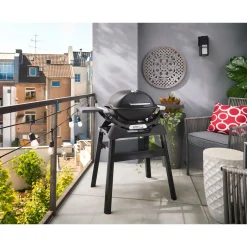 Gasgrill mit Stand Q1200N^Weber Sale