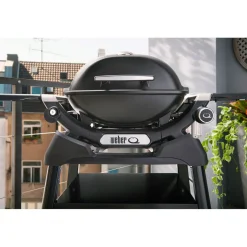 Gasgrill mit Stand Q1200N^Weber Sale