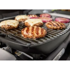 Gasgrill mit Stand Q1200N^Weber Sale