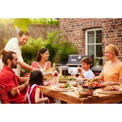 Gasgrill SPIRIT E-210*Weber Outlet