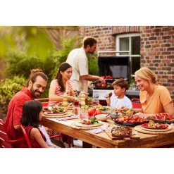 Gasgrill SPIRIT E-210*Weber Outlet