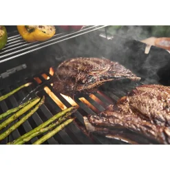 Weber Gasgrill SPIRIT E-425 GBS