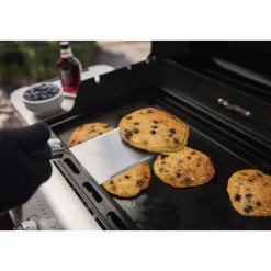 Weber Gasgrill SPIRIT E-425 GBS