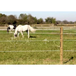 Weidezaun Top Line Horewire 200 m weiß^ Hot