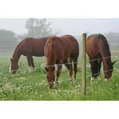 Weidezaun Top Line Horewire 200 m weiß^ Hot