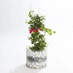 Gabionen-Pflanzgefäß Amber M^Wilk Online