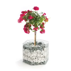 Gabionen-Pflanzgefäß Montana M^Wilk Best