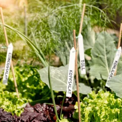 Binde-Etiketten 25 Stück*Windhager Hot