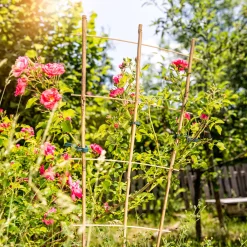 Blumenstütze Bambus 110x40 cm^Windhager Online