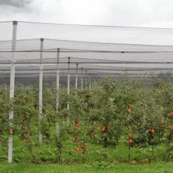 Windhager Hagelschutz-Netz 5x4 m grün Maschenweite 8 mm