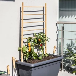 Windhager Holz-Rankhilfe Leiter 80x170 cm