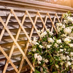 Holz-Spalier 90x180 cm^Windhager